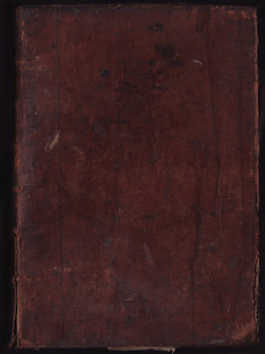 Book cover of The red and the black